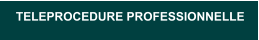 TELEPROCEDURE PROFESSIONNELLE